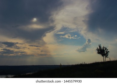 trees and clouds in the blue sky