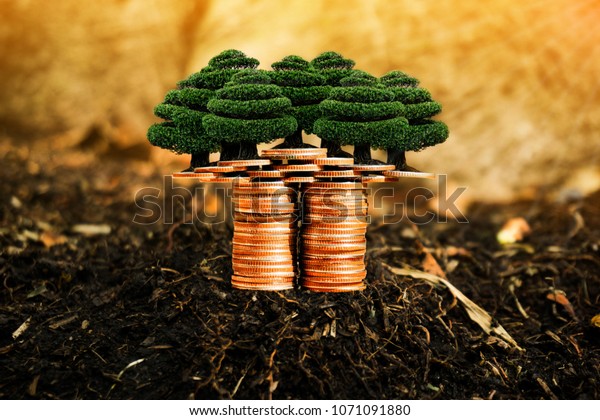 Trees and\
coins on nature background present compare the savings with trees\
planting or the savings to build nature. Or show divide the\
investment. Or for the future Concept of\
money.