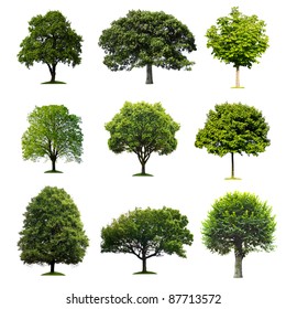 Trees Collection - Shutterstock ID 87713572