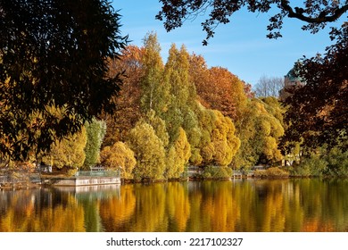 Trees Covered With Autumn Leaves In A City Park, No People. Colorful Foliage Reflected In The Pond.