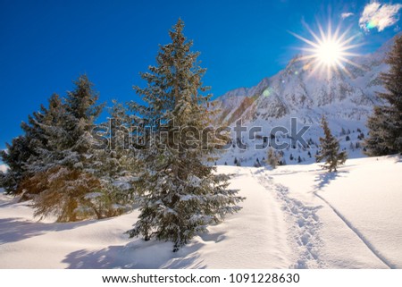 Similar – Panoramic scenery above Grindelwald