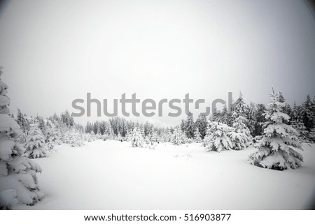 Similar – Image, Stock Photo Wwwwchsch Nature Landscape