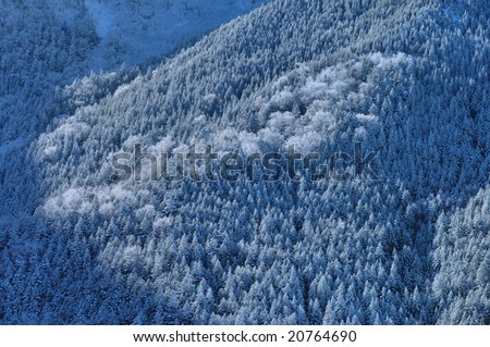 Similar – Winter in the Giant Mountains near Pec pod Snezkou, Czech Republic