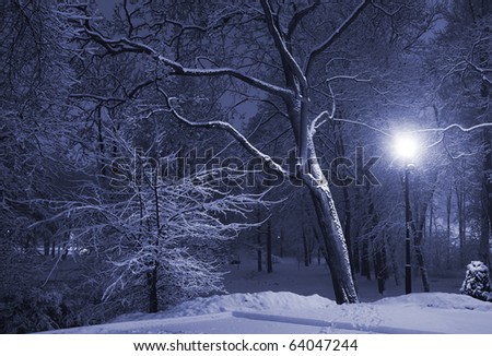 Trees covered with snow, dark sky and shining lantern. Park scene. Night shot.