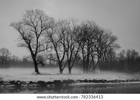 Similar – winter fog Nature