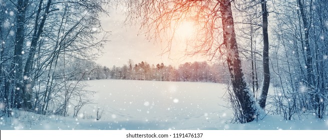 Country Snow Scene High Res Stock Images Shutterstock