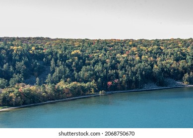 Trees At Devils Lake State Park