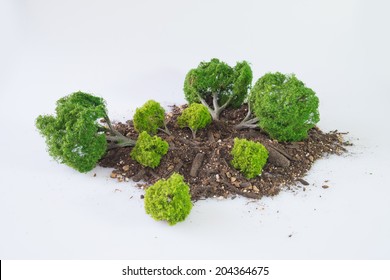 Trees down in the soil