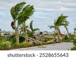 Trees fallen from tornadoes caused by Hurricane Milton Palm Beach Gardens Florida