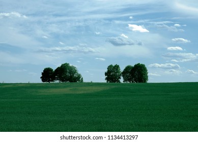trees in the field