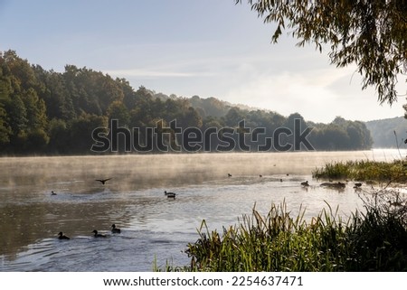 Trees and fog in the morning in autumn, sunrise on the Neman River in the autumn season