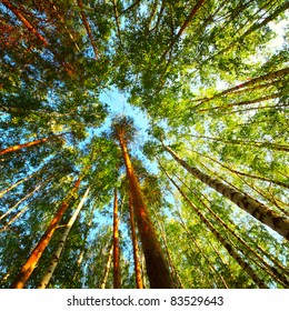 Stock Photo and Image Portfolio by Dudarev Mikhail | Shutterstock