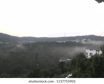 trees, forest, clouds and landscape