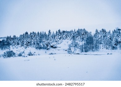 Trees and forests in Iceland in winter under snow and ice - Powered by Shutterstock