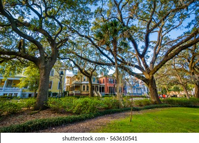 Trees At Forsyth Park, In Savannah, Georgia.