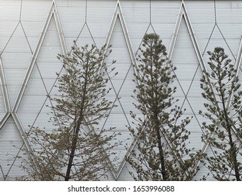 Trees in front of a building