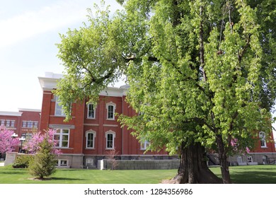 Trees In Front Of The Cache County Utah Visitors Center