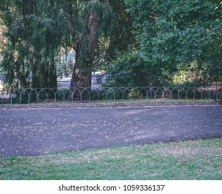 Trees Grass Metal Road Downward Hill