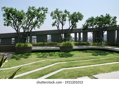 Trees And Grass On Beautiful Rooftop Garden. Outside Terrace With Amazing Park . Urban Eco Design And Mini-ecosystem. Landscaping In Bangkok City .