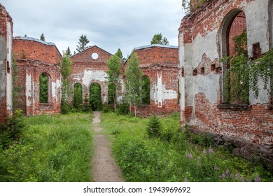 Trees Grew Inside The Long-burned Building