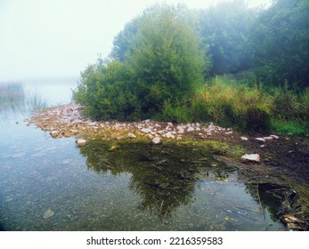 Trees Grow By A River In Low Mist. Calm And Peaceful Nature Scene. Nobody.