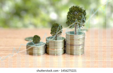 Trees are grow up on coins stack in ascending order and the growth investment with copy space. Concept of finance and investing. 
