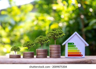 Trees grow on piles of money and energy-saving charts on home models in a residential home energy efficiency assessment concept office.