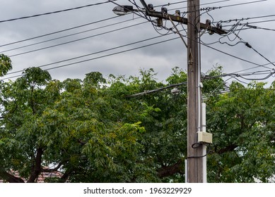 Trees Growing Around Power Lines Is A Hazard