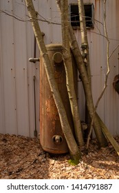 Trees Growing Next To A Rusted, Abandoned Hot Water Heater Tank. 