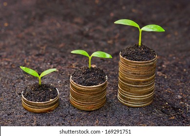 Trees Growing On Coins / Csr / Sustainable Development / Economic Growth /  Trees Growing On Stack Of Coins / Corporate Social Responsibility