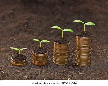 Trees Growing On Coins / Csr / Sustainable Development / Economic Growth / Trees Growing On Stack Of Coins