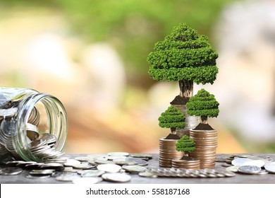 Trees growing on coins money and glass bottle on green background, investment and business concept - Shutterstock ID 558187168