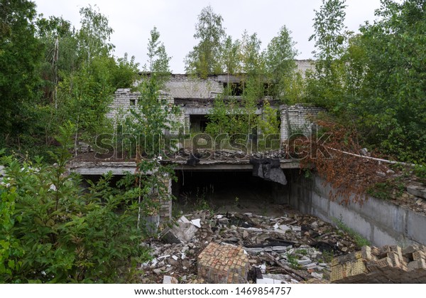 Trees growing on the roof. A\
ruined building overgrown with trees. Birch trees growing on a\
building.