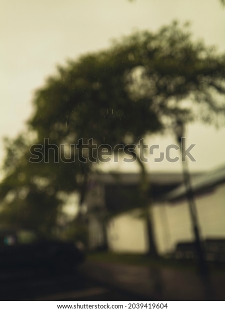 Trees and a house on the street.\
Blurred impressionist street landscape photo of a rainy\
day.