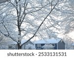 Trees and houses under snow in the morning after a snowstorm. Sunrise.