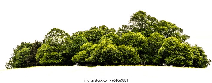 Trees Island Isolated On White Background