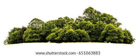 Trees island isolated on white background