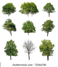 Trees Isolated On White