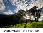 Trees just before sunset in a hilly landscape near the Austrian village Annaberg im Lammertal