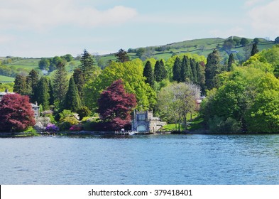 Trees From Lake Windermere