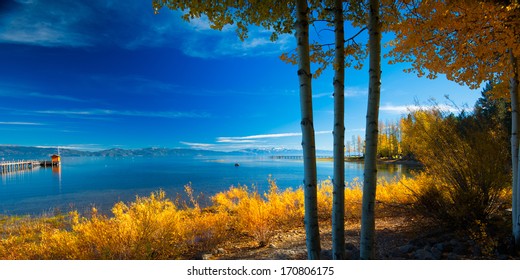 Trees At The Lakeside, Tahoe City, Lake Tahoe, California, USA