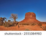 Trees and landscape in Monument Valley in Navajo Tribal Park