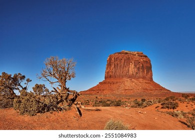 Trees and landscape in Monument Valley in Navajo Tribal Park - Powered by Shutterstock