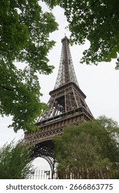 trees landscape tower eiffel summer