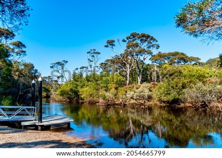 Trees and landscapes along the Donnelly River in the southwest of Western Australia