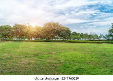 Trees with large courtyards and green lawns. - Powered by Shutterstock