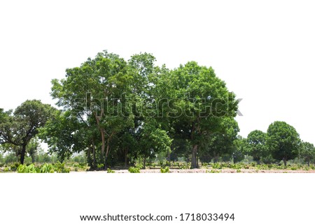 Trees line isolated on a white background