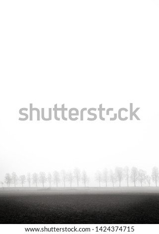 Similar – Image, Stock Photo be cold Environment Nature