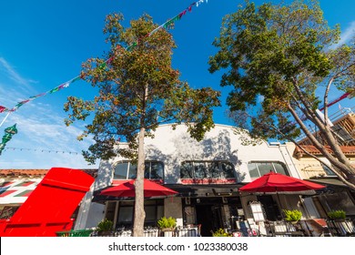 Trees In Little Italy San Diego, California