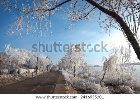 Trees loaded with rime to the water's edge. Located in Galati, Romania. Danume river